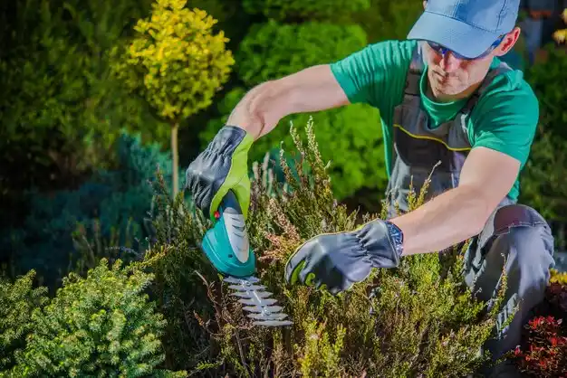 landscaping services Graymoor-Devondale